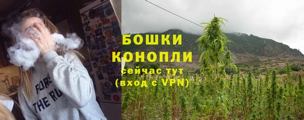apvp Осинники