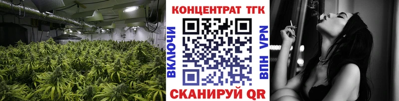 ТГК концентрат  Тогучин 